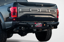 Honeybadger Rear Bumper | 17-20 F150 Raptor