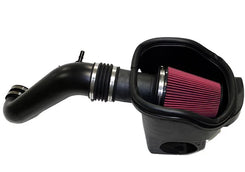 Cold Air Intake Kit (5.0L) | 15-17 F150