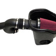 Cold Air Intake (2.7L & 3.5L) | 15-17 F150/Raptor