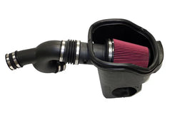 Cold Air Intake (2.7L & 3.5L) | 15-17 F150/Raptor
