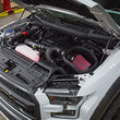 Cold Air Intake (2.7L & 3.5L) | 15-17 F150/Raptor