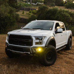 Squadron 2.0 Sport/S2 Sport Fog Light Kit | 17-20 F150 Raptor