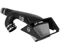 Magnum FORCE Pro Dry S Cold Air Intake | 17-20 F150/Raptor