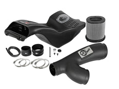 Momentum GT Pro Dry S Cold Air Intake | 17-20 F150