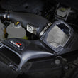 Momentum GT Pro Dry S Intake (Powerboost) | 2021+ F150