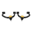 Tubular HD Upper Control Arms | 04-20 F150