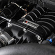 Supercharger Kit (705HP) | 2021+ F150 5.0L