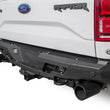 Stealth Fighter Rear Bumper | 17-20 F150 Raptor