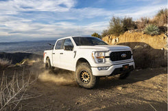 Performance Series 2.5" Front Coilovers | 2015+ F150