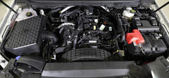 Performance Air Intake System