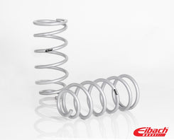 Pro-Truck Rear Lift Springs | 10-24 4Runner