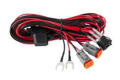 Light Duty Wiring Harness - Dual Output